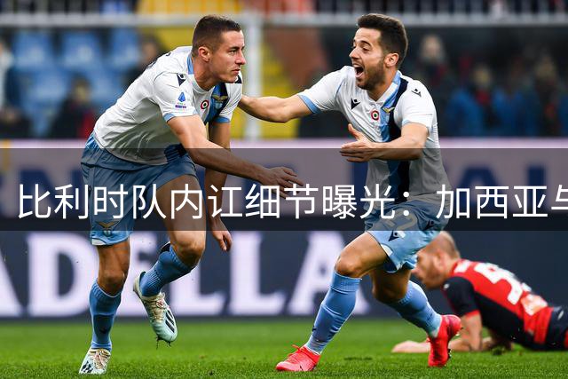 比利时队内讧细节曝光：加西亚与荷语系球员存摩擦 法语系力挺主帅