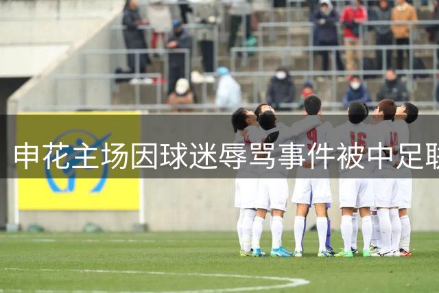 申花主场因球迷辱骂事件被中足联通报批评