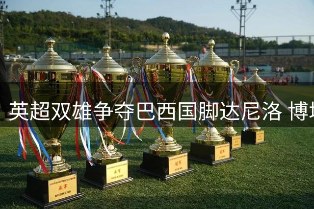 英超双雄争夺巴西国脚达尼洛 博塔弗戈中场引多队竞价