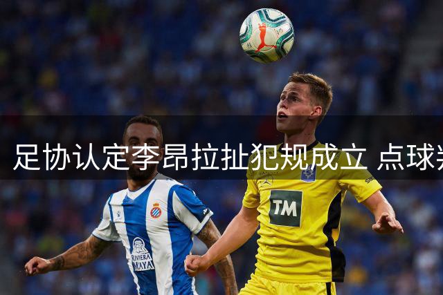 足协认定李昂拉扯犯规成立 点球判罚无误
